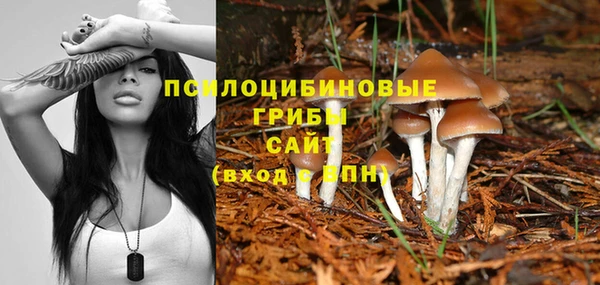 герыч Вяземский