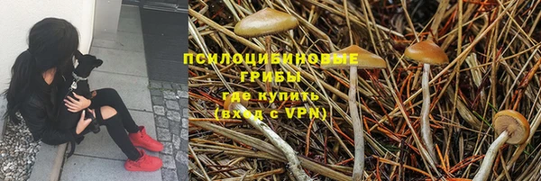 mdpv Вязьма